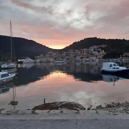 Sara-vis Vis